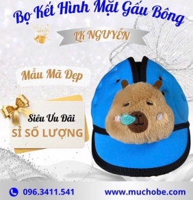 Bọ kết màu mặt gấu bông